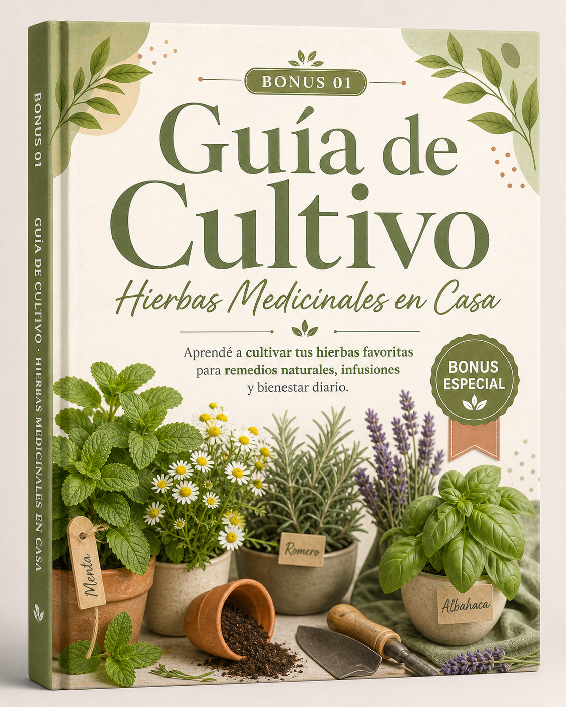 Cultivo Hiervas medicinales | PDF descargable | Recetas Sanadoras